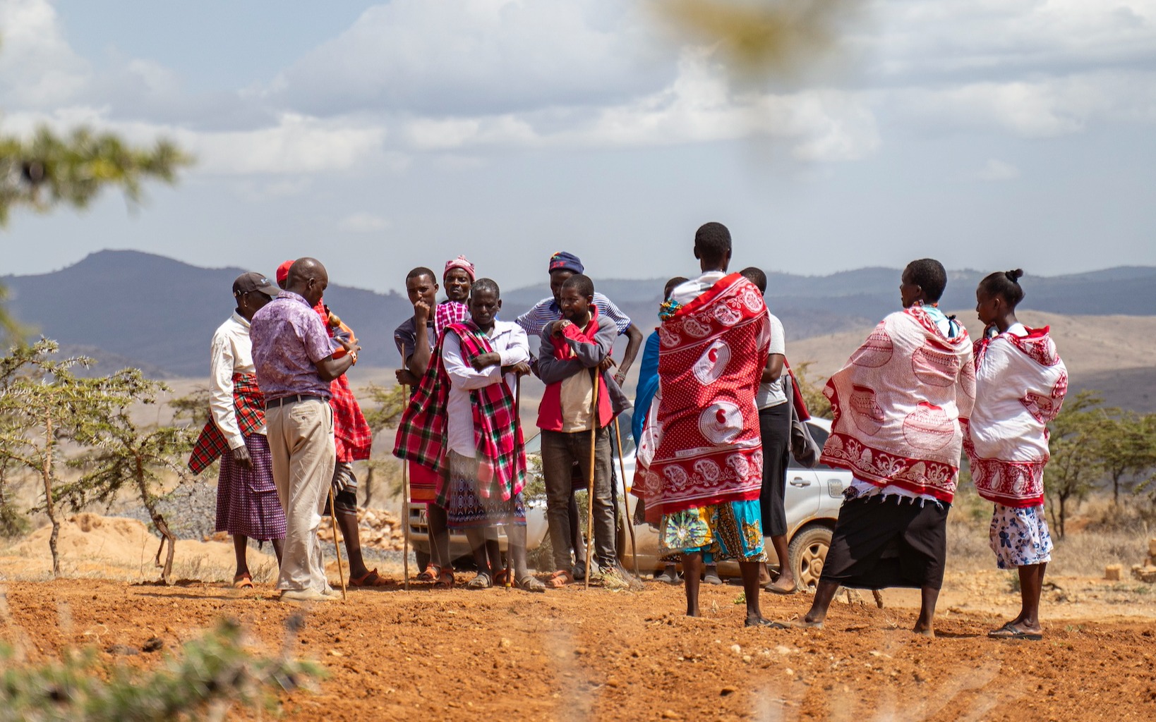 UN awards new World Restoration Flagships