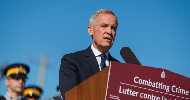 Carney set to announce border security measures – National