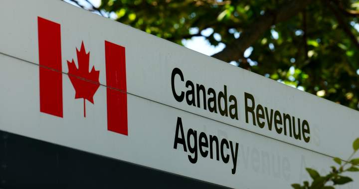 CRA says it’s on track to meet call centre targets by deadline – National